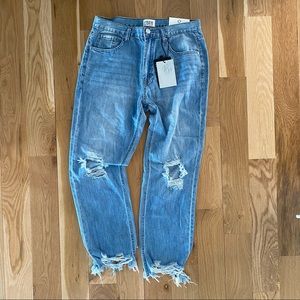 Insane Gene High Rise Straight Crop Denim